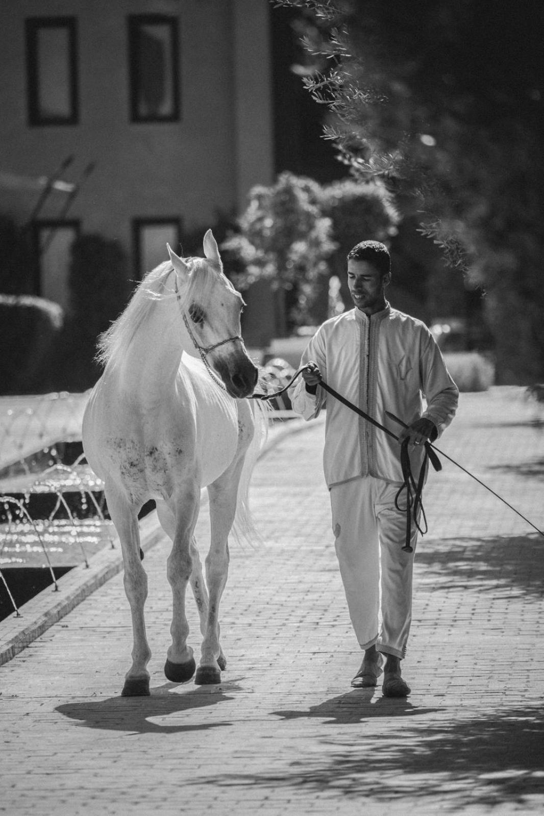 Selman Marrakech Ξενοδοχείο El Makina Εξωτερικό φωτογραφία